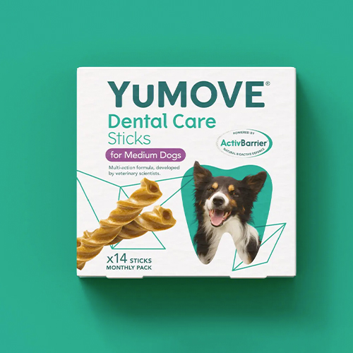 pet treat boxes