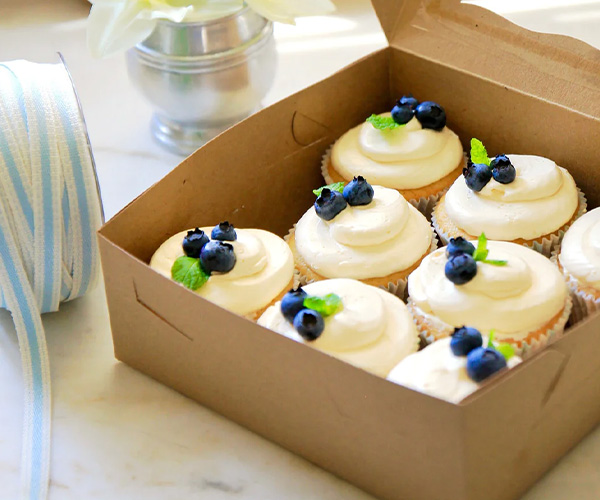 custom kraft cupcake box supplies